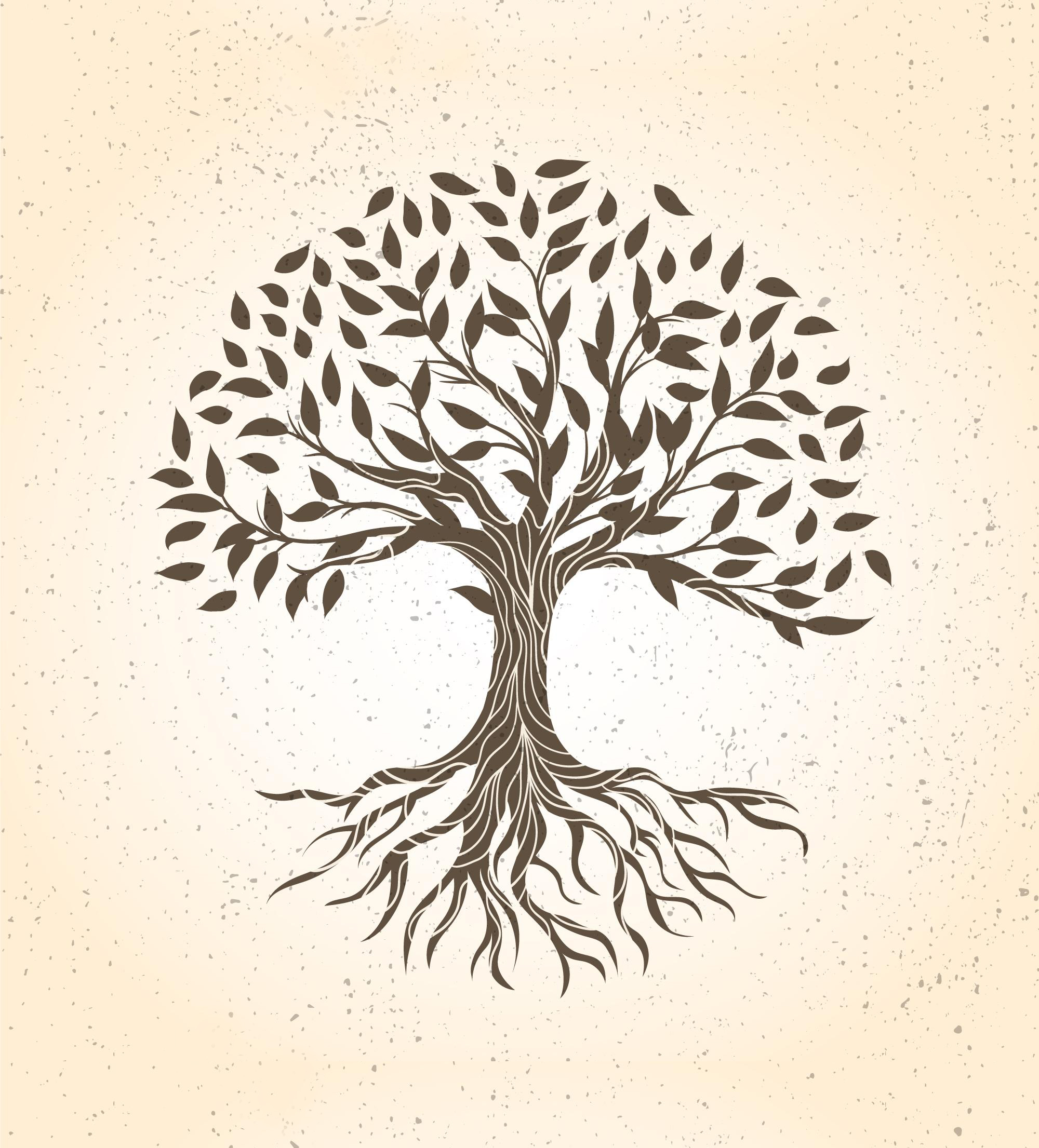 Baumpflege Schottka Logo